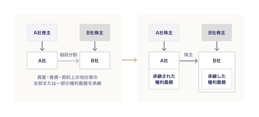 吸収分割