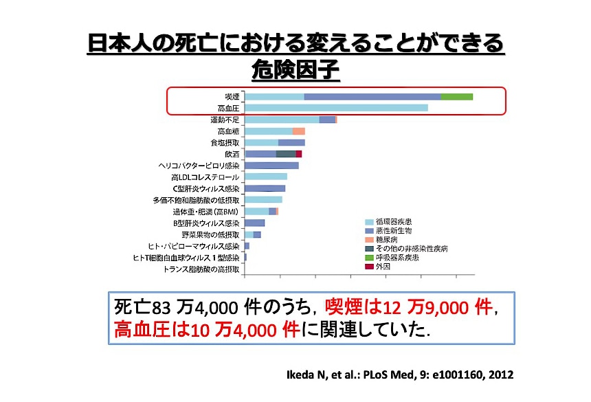 日本人の死亡における変えることができる危険因子