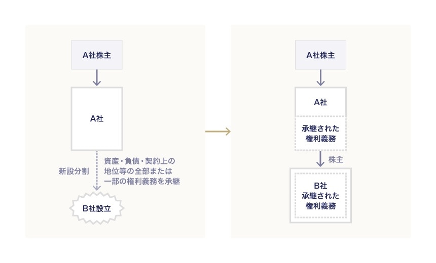 新設分割